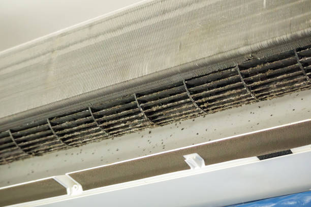 Best Local Air Duct Cleaning Services  in Lake City, SC